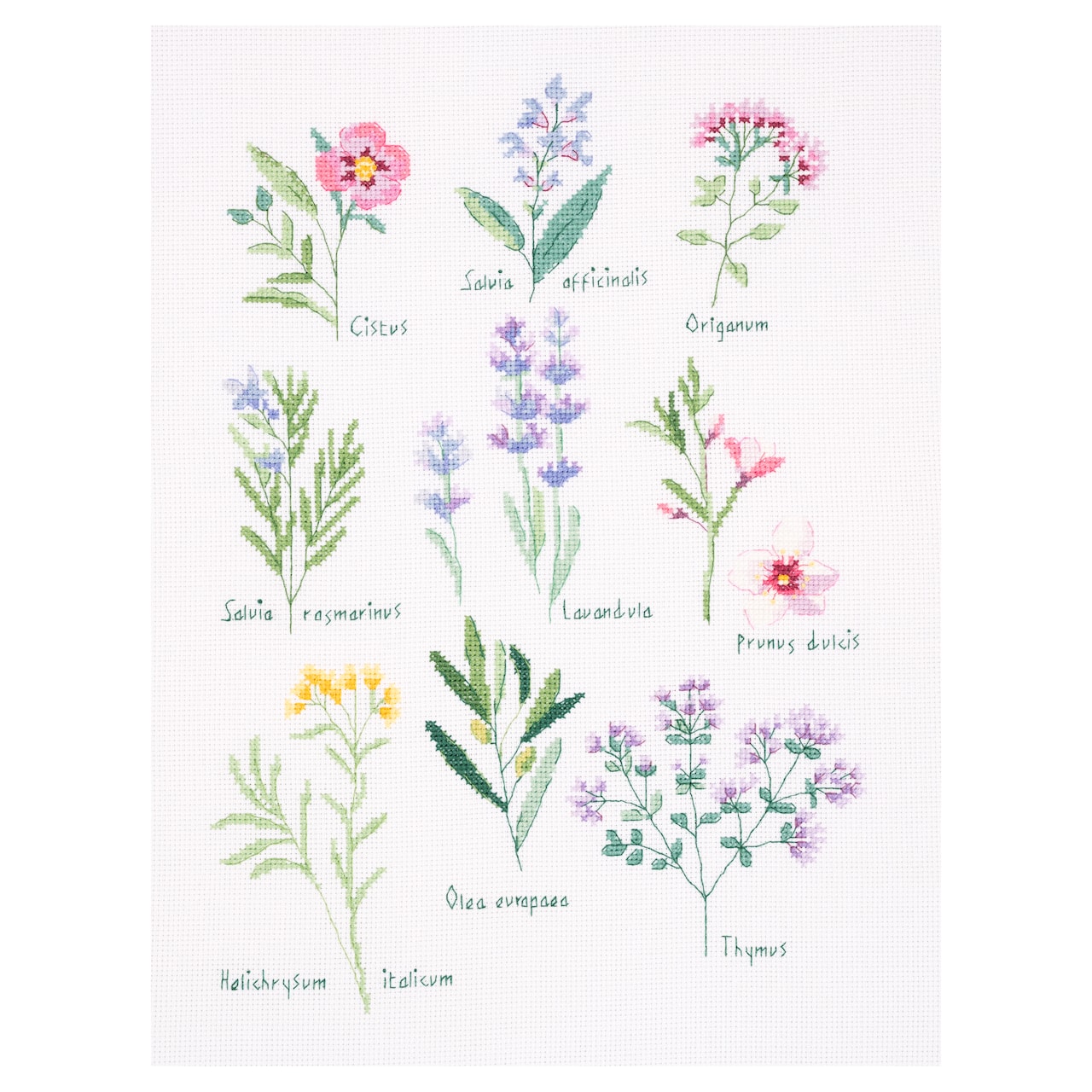 DMC® Herbs Intermediate Counted Cross Stitch Kit